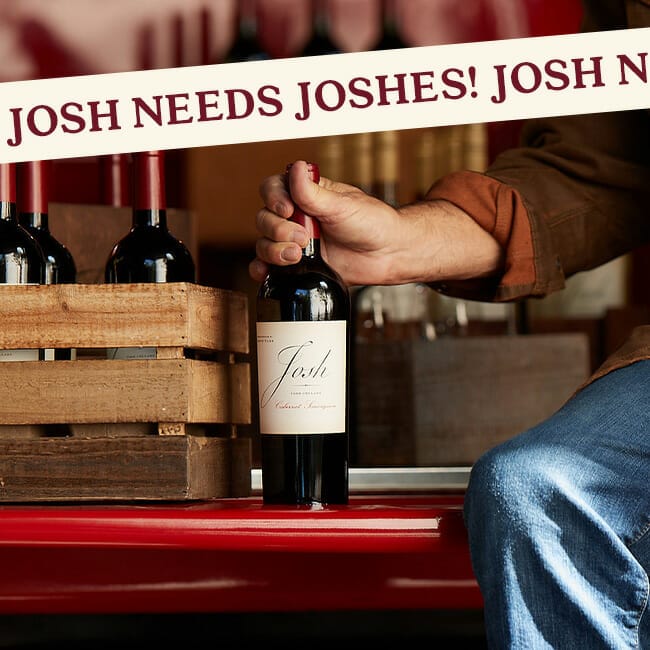Josh Needs Joshes